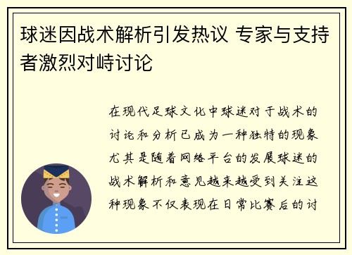 球迷因战术解析引发热议 专家与支持者激烈对峙讨论