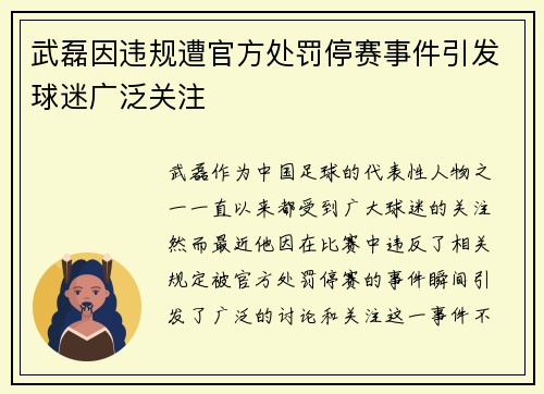 武磊因违规遭官方处罚停赛事件引发球迷广泛关注 武磊因违规遭官方处罚停赛事件引发球迷广泛关注