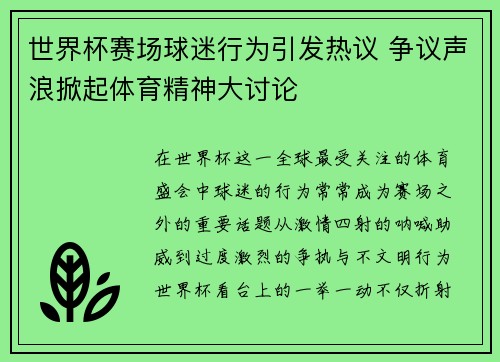 世界杯赛场球迷行为引发热议 争议声浪掀起体育精神大讨论